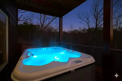 Property image, Interior, of Bear Force One