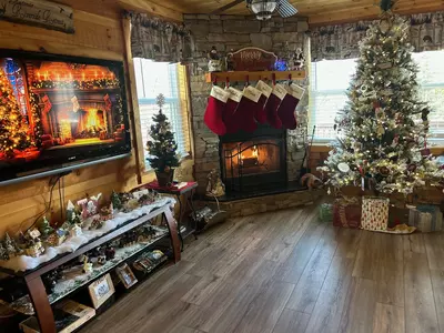 Wood burning fireplace