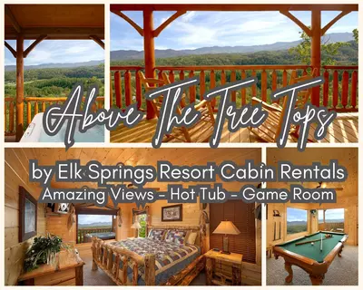 Above the Tree Tops (#49)