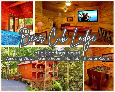 Bear Cub Lodge