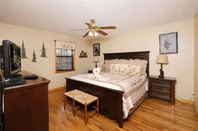 Peekin' Over Pigeon Forge