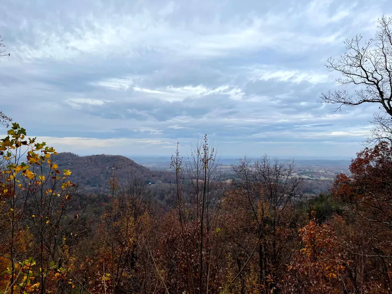 Peekin' Over Pigeon Forge