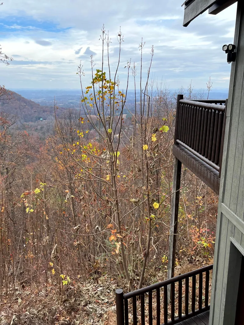 Peekin' Over Pigeon Forge