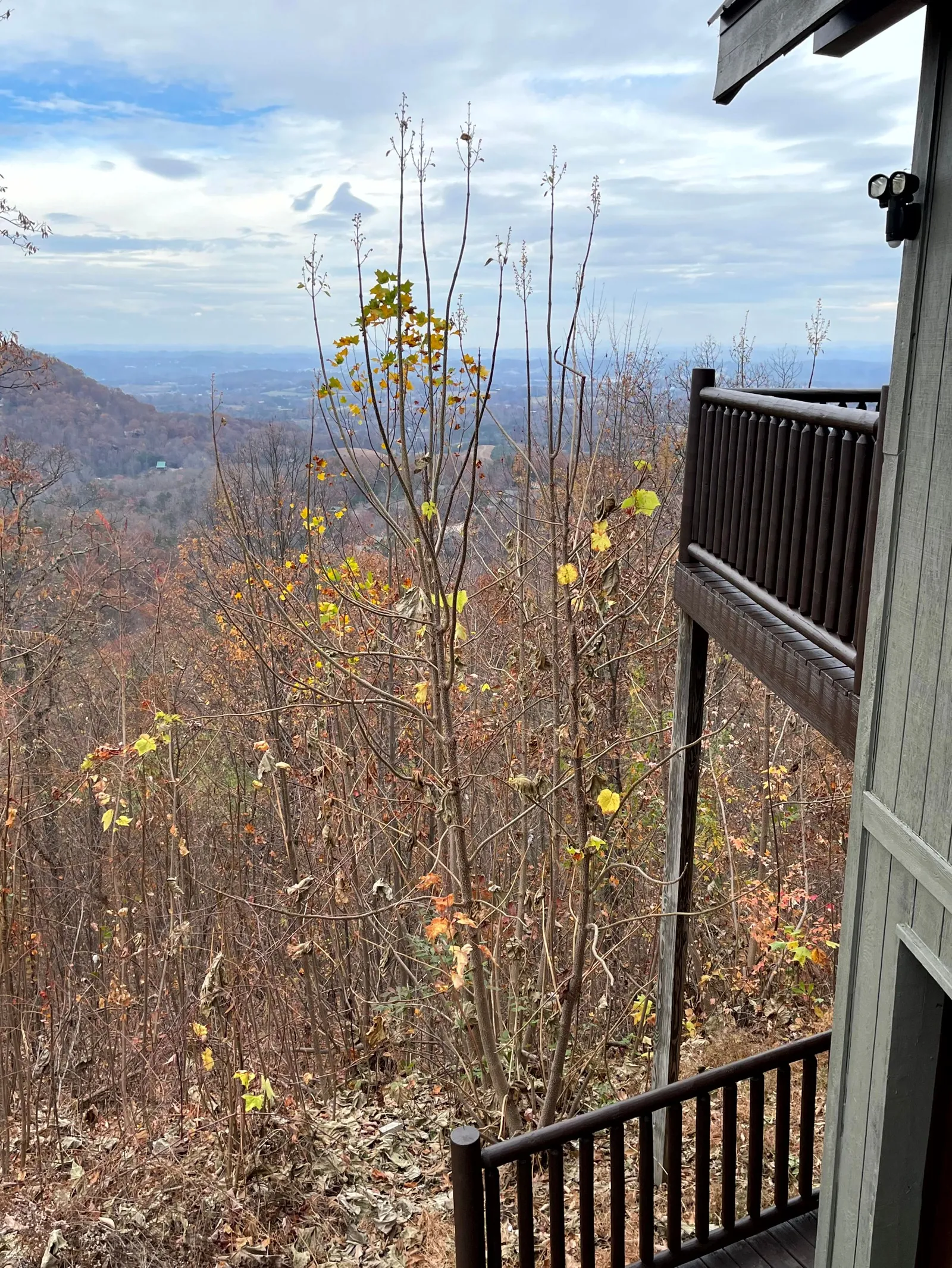 Peekin' Over Pigeon Forge