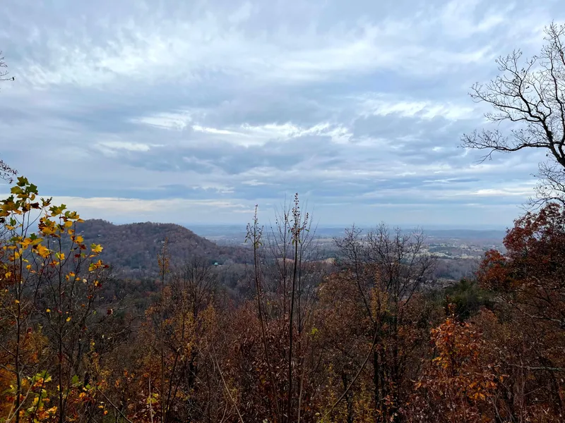 Peekin' Over Pigeon Forge