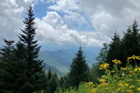 visiting Great Smoky Mountains National Park in spring