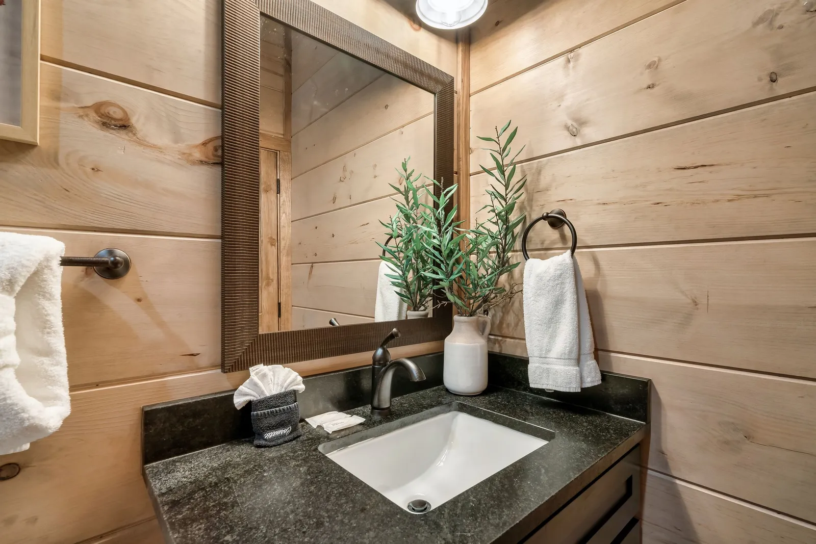 MOUNTAIN MASTERPIECE