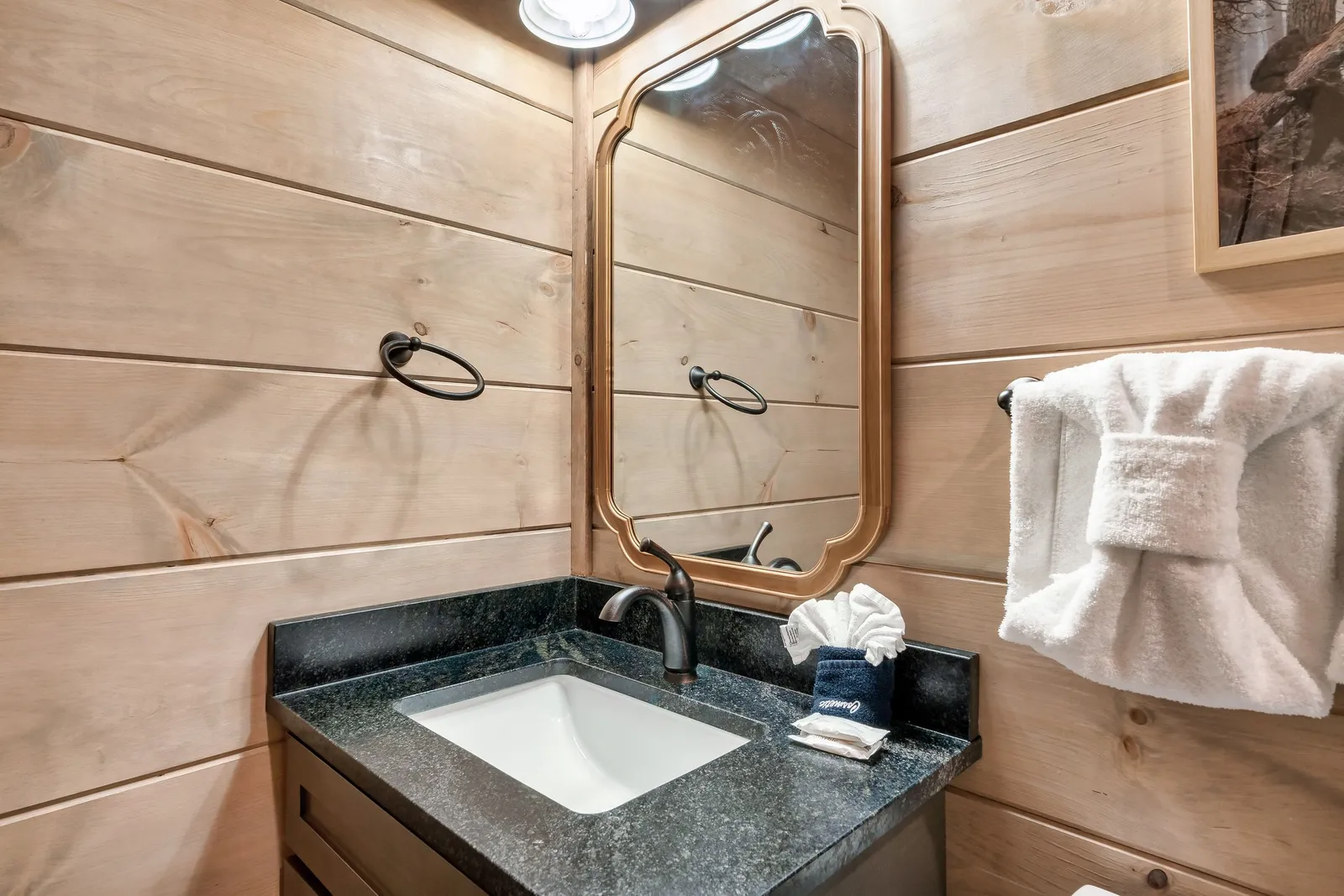 MOUNTAIN MASTERPIECE