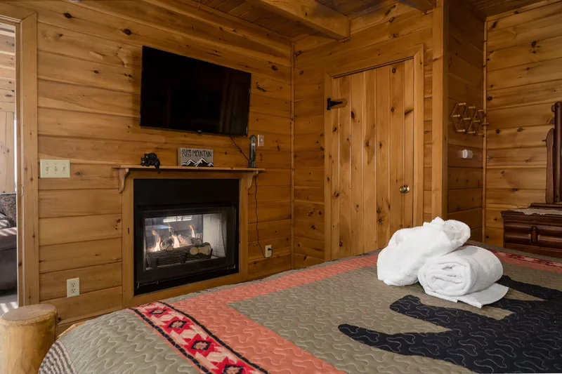 Master Gas Fireplace