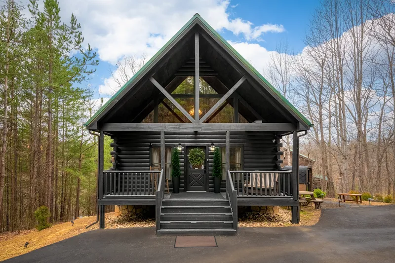 The Black Birch Cabin