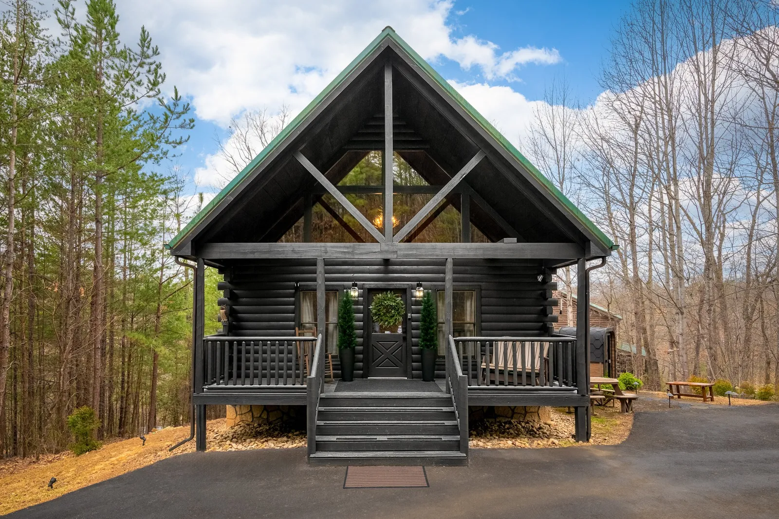 The Black Birch Cabin
