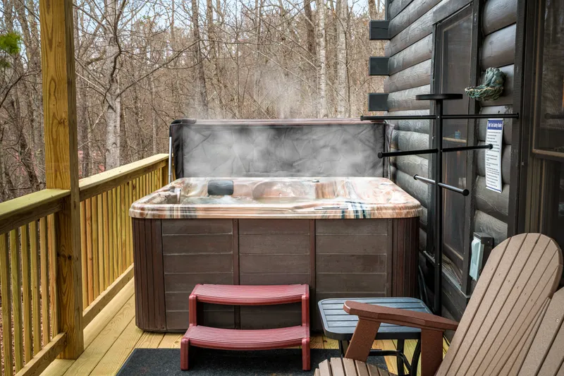 The Black Birch Cabin