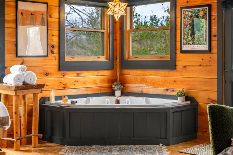 The Black Birch Cabin