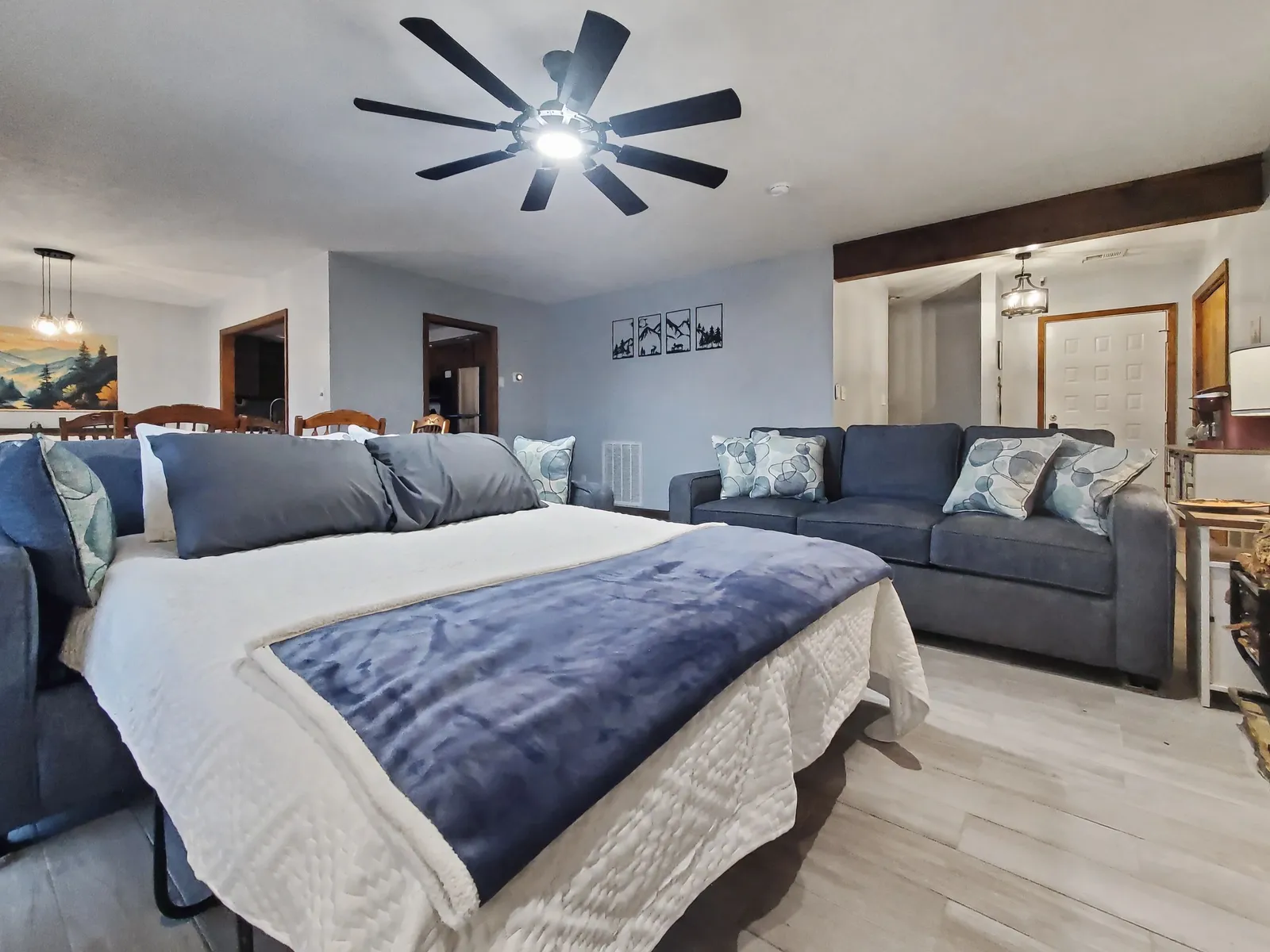 Queen sofa pull out bed in the living room