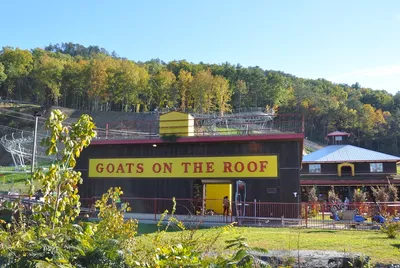 building at goats on the roof in pigeon forge