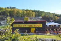 building at goats on the roof in pigeon forge