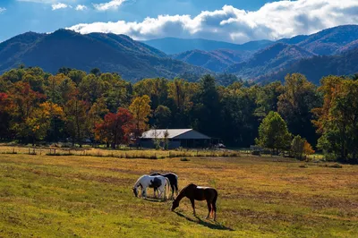 horseback riding is popular in cades cove