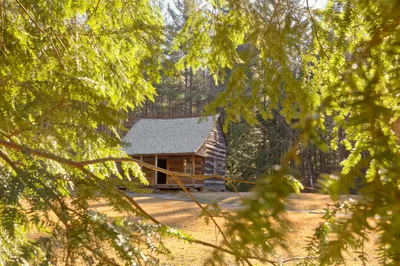 carriage rides pass historic cabins in Cades Cove