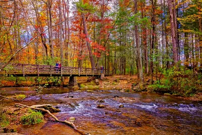 Abrams Falls Trail in Cades Cove