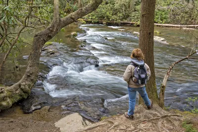 standing by the creek on the Abrams Falls Trail in Cades Cove