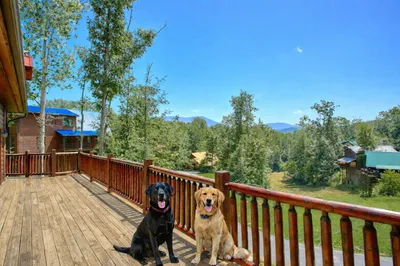 Diamond In The Rough