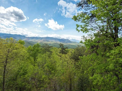 Property image, Interior, of Eden's View