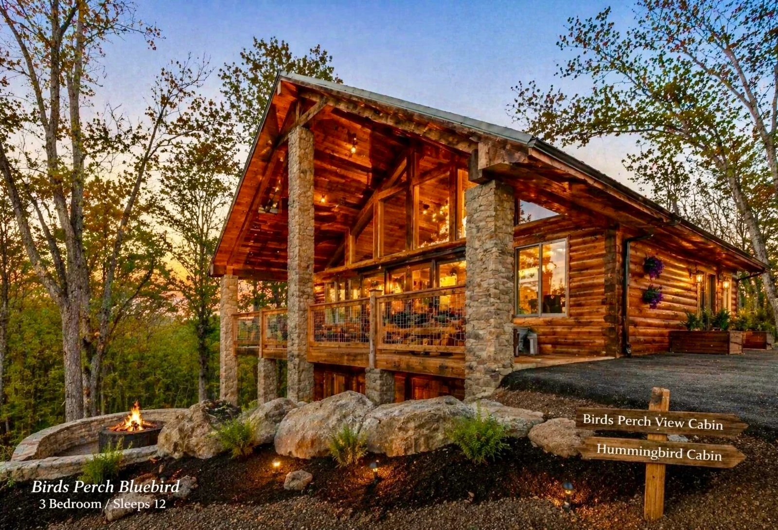 Birds Perch Hummingbird