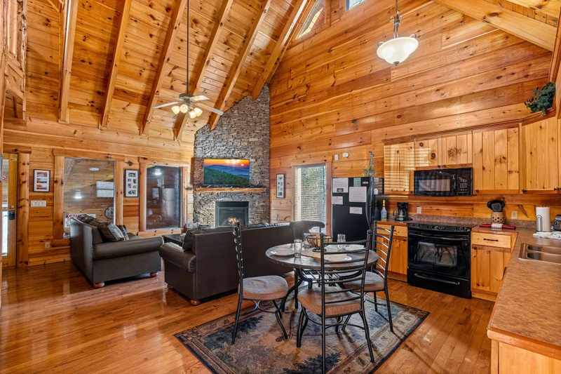 A Bears Poolin Paradise