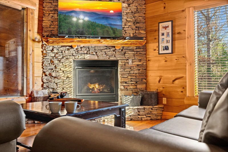 A Bears Poolin Paradise