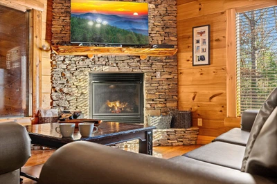 A Bears Poolin Paradise