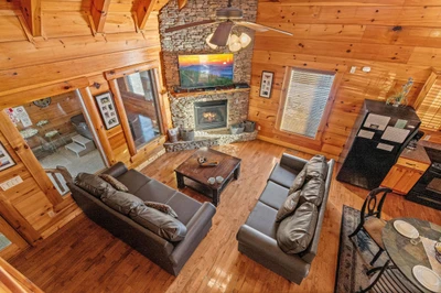 A Bears Poolin Paradise