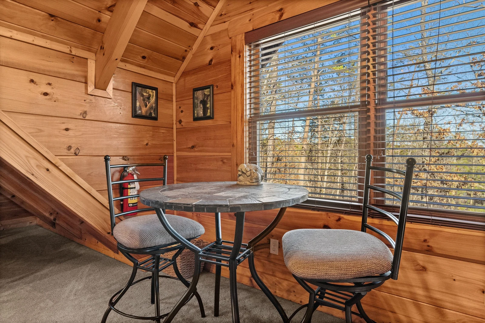 A Bears Poolin Paradise