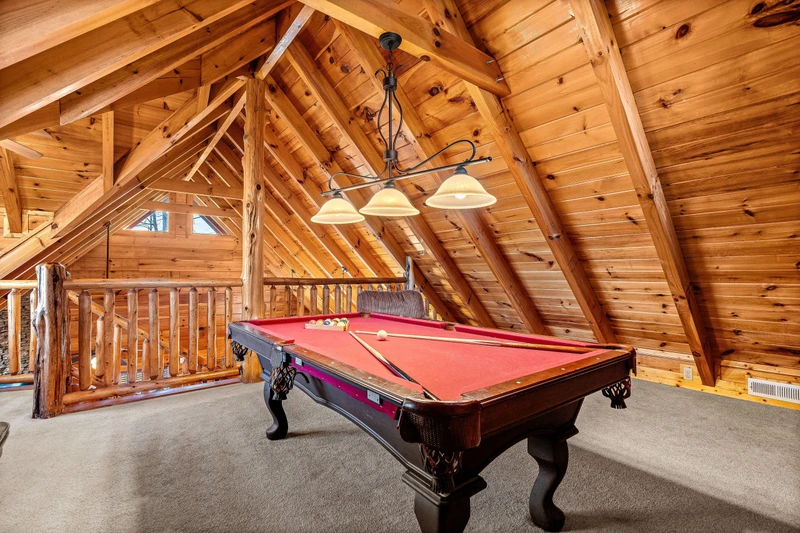 A Bears Poolin Paradise