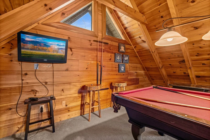 A Bears Poolin Paradise