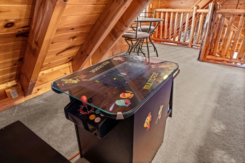 A Bears Poolin Paradise