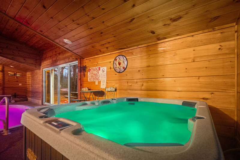 A Bears Poolin Paradise