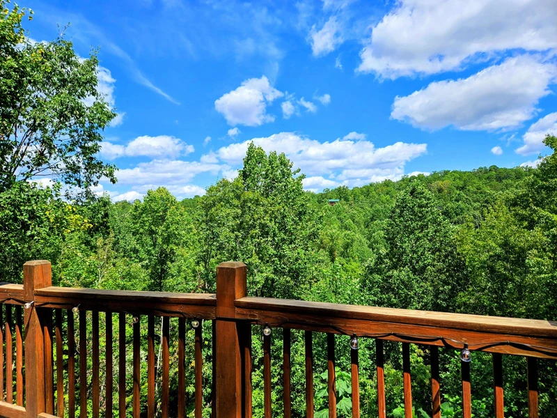 Beary Family Retreat