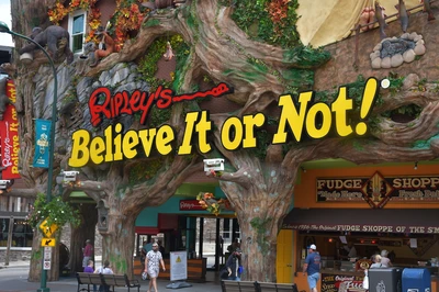 ripleys believe it or not is one of the best things to do in Gatlinburg when it rains