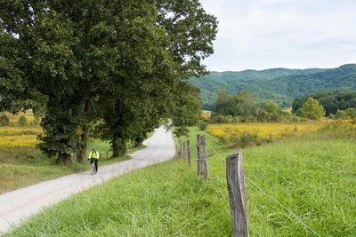 bicyclist during cades cove vehicle-free days