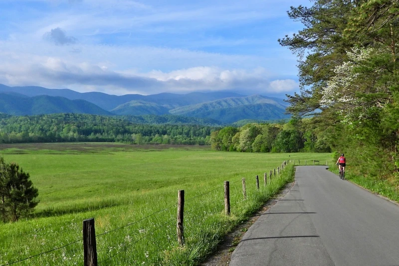 bicyclist during cades cove vehicle-free days