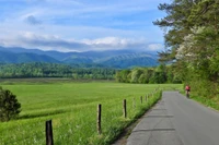 bicyclist during cades cove vehicle-free days