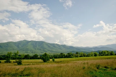 stunning cades cove landscape
