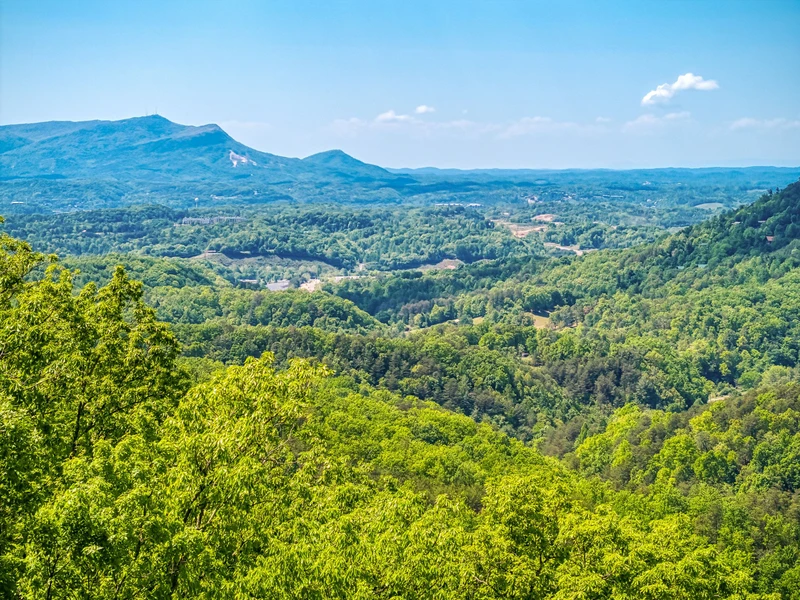 Peekin' Over Pigeon Forge