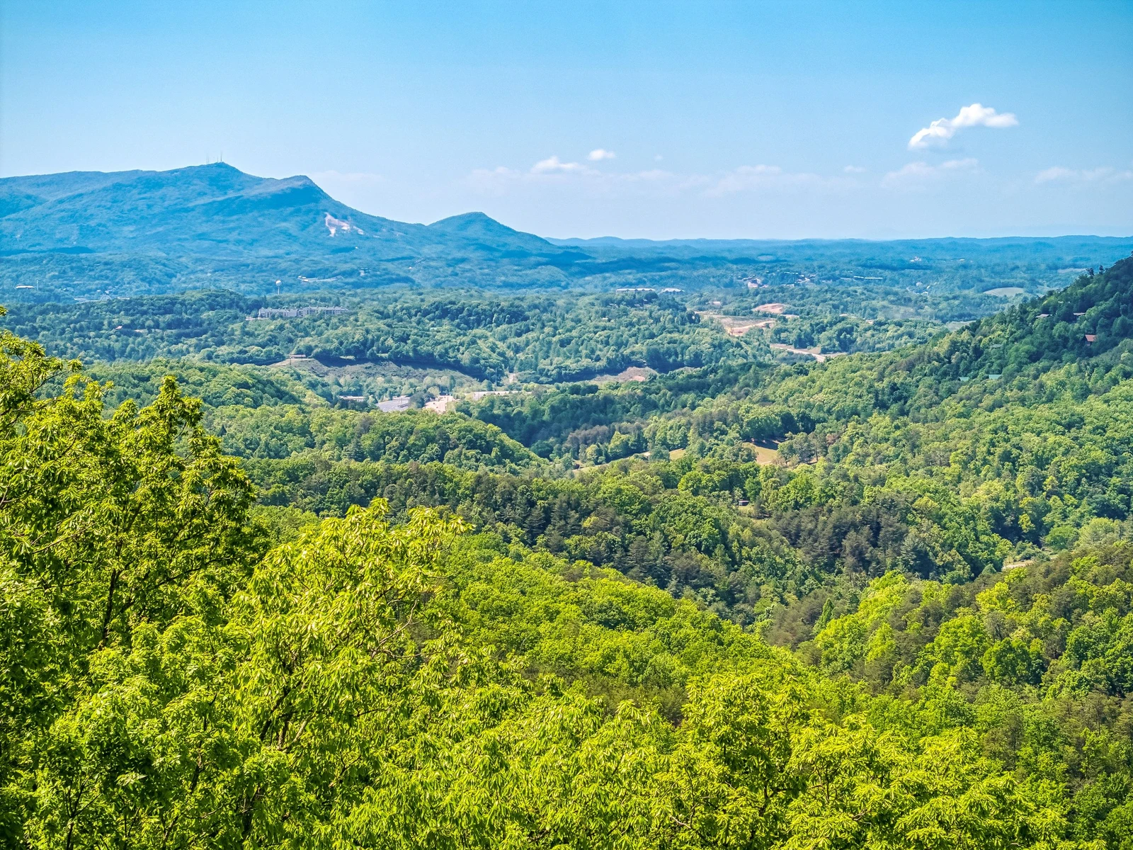Peekin' Over Pigeon Forge