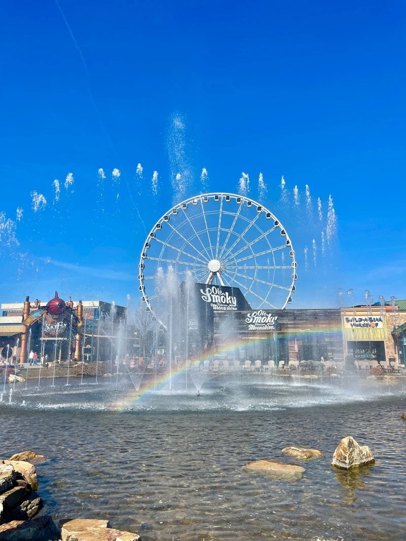 The Ferris Wheel at the Island in Pigeon Forge
