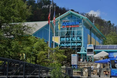 ripley's aquarium is great choice for you multigenerational gatlinburg tn trip