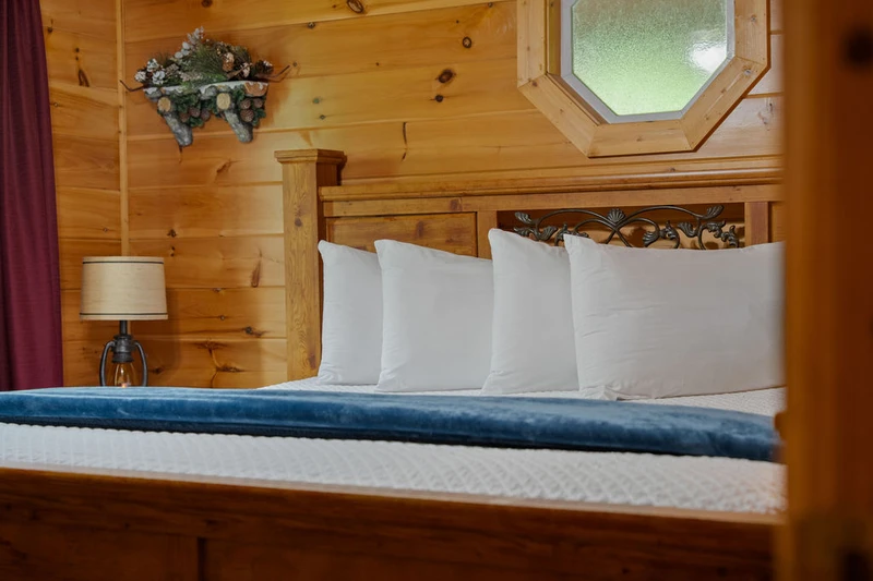 Cabin T