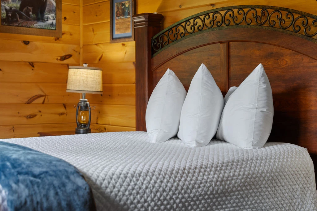 Cabin T