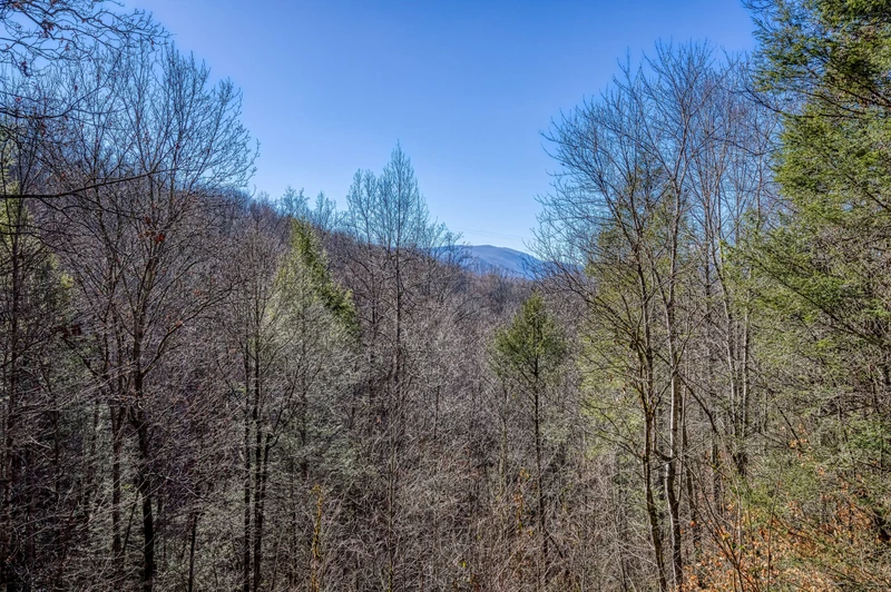 Mountain Memories