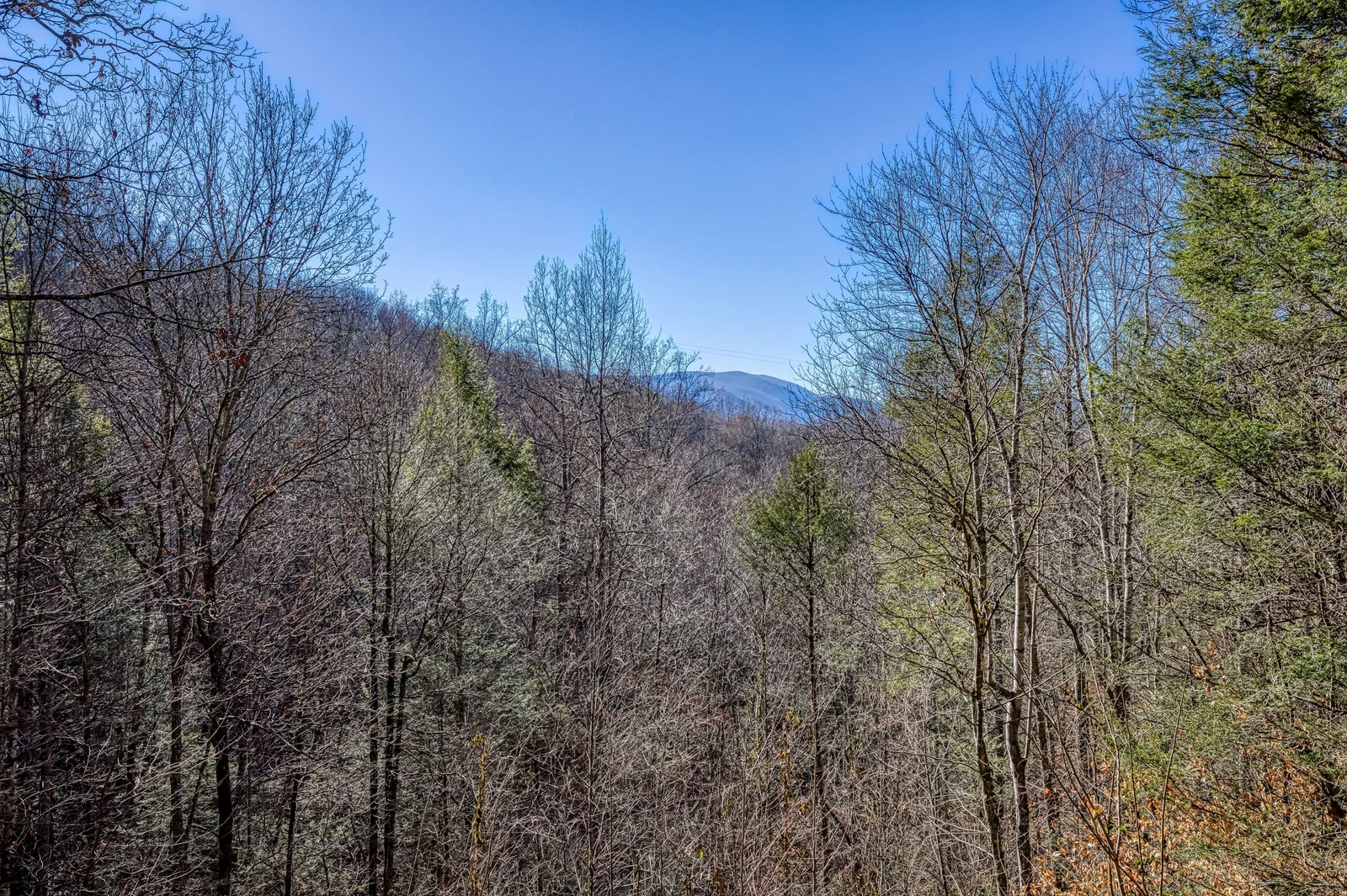 Mountain Memories